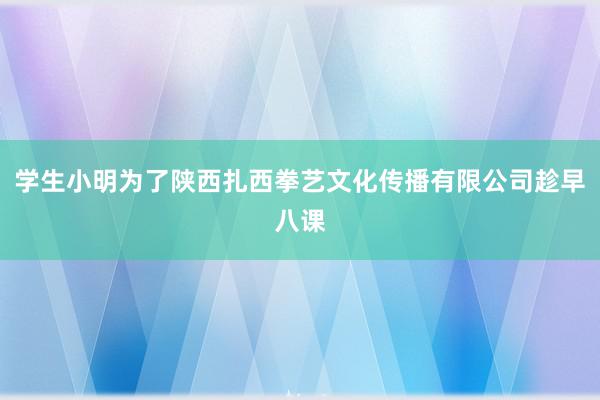 学生小明为了陕西扎西拳艺文化传播有限公司趁早八课
